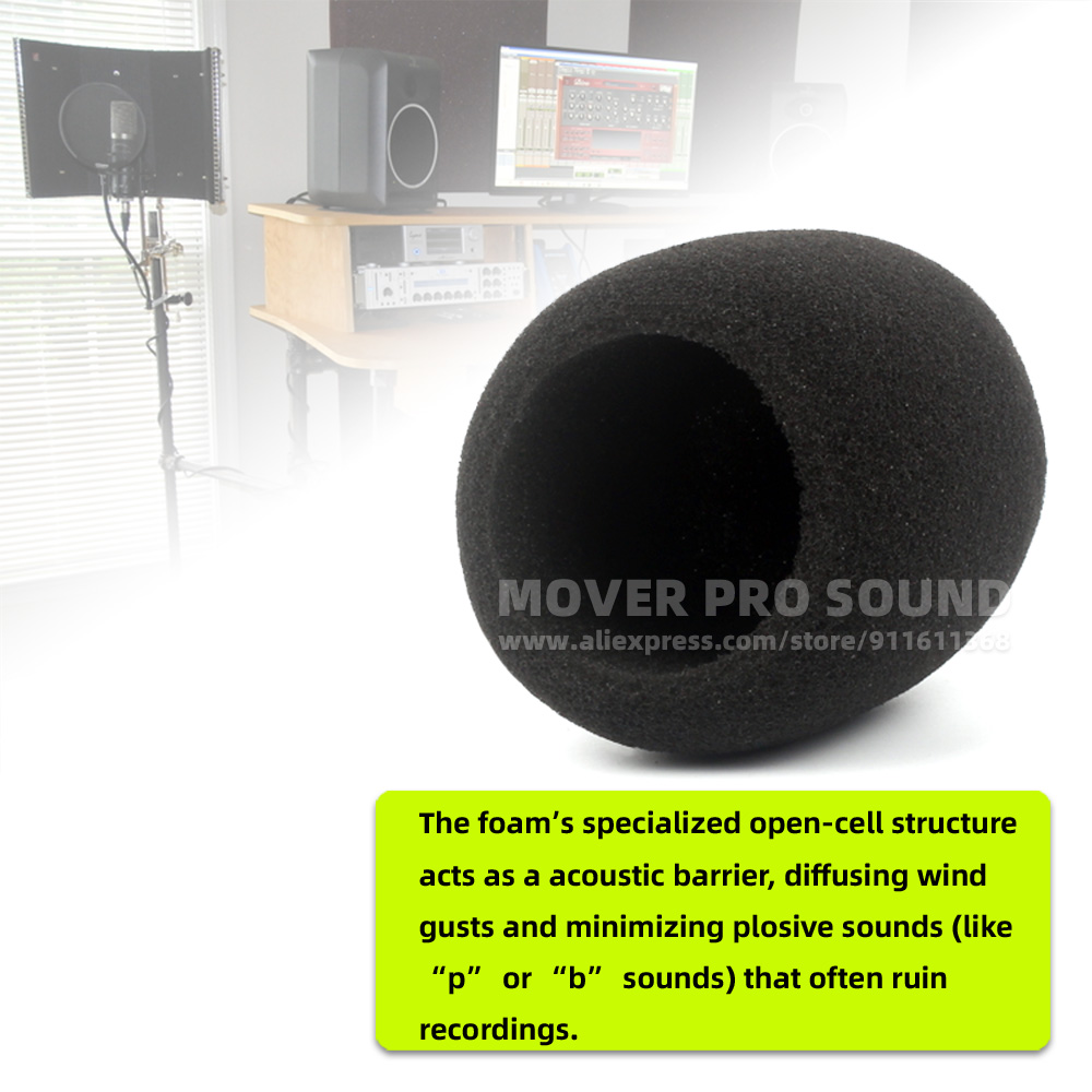 SnapVox Compatible avec ZOOM H - Recording Pop Filter avis et prix