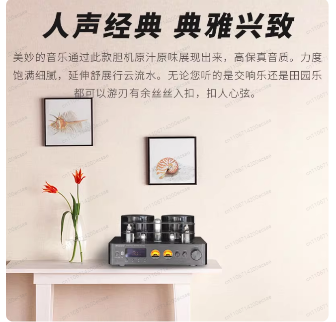 Amplificateur de puissance à t - Audio Youtube Music Free avis et prix
